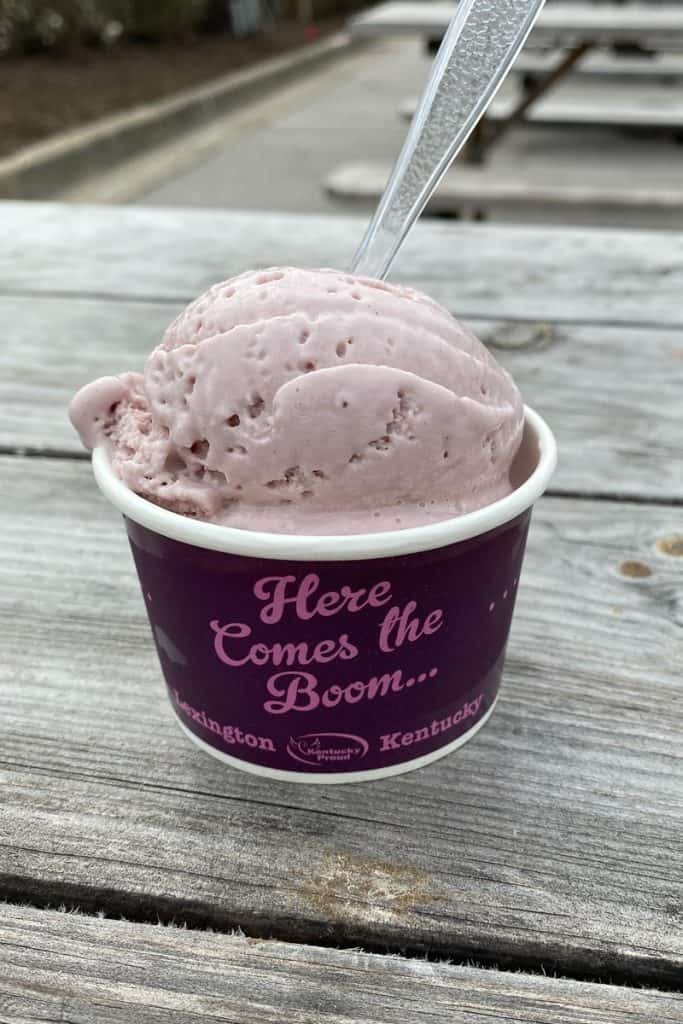 Scoop of Kentucky blackberry and buttermilk ice cream in a cup.