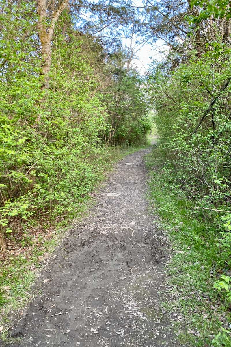 gobbler's trace trail.