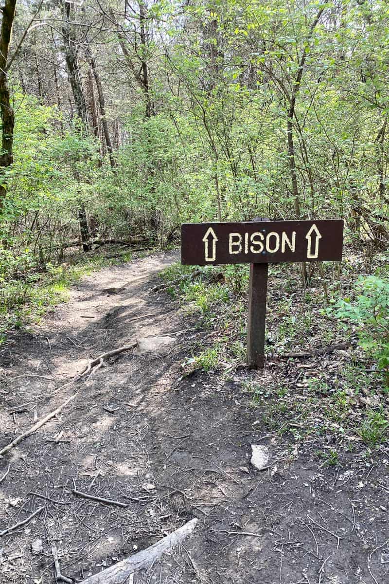 bison trail sign.