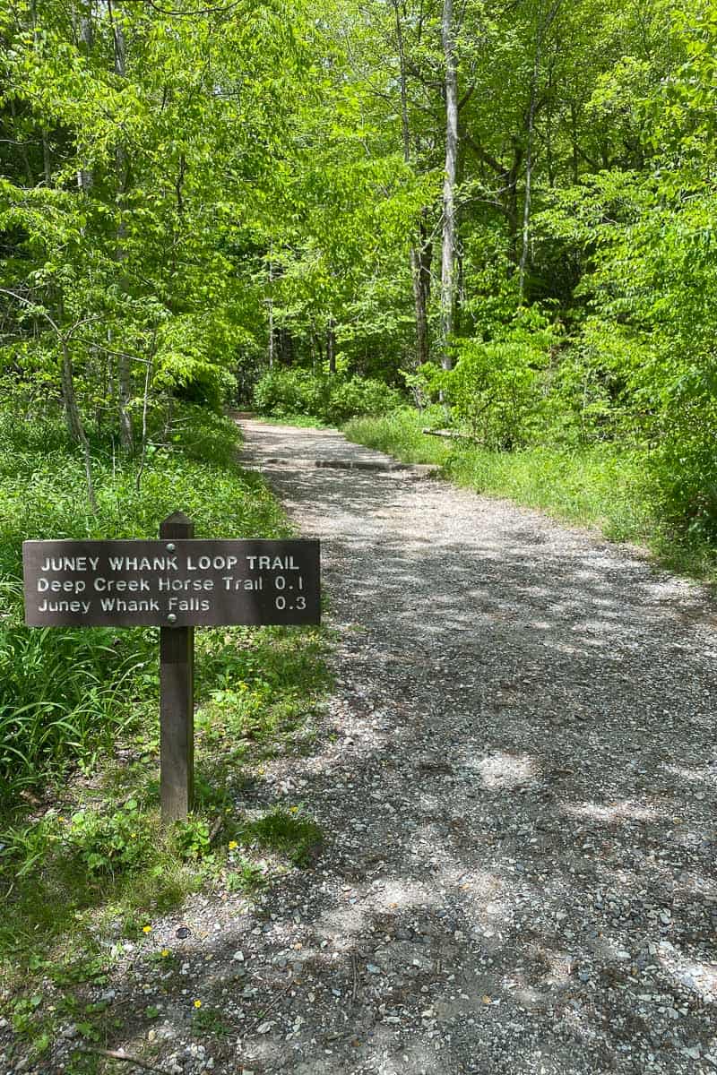 Juney Whank Loop Trail Sign.