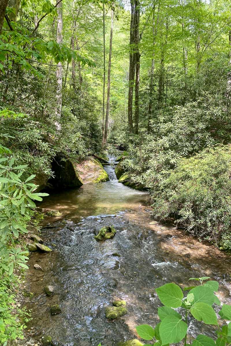 Stream Along Deep Creek Hiking Trails.