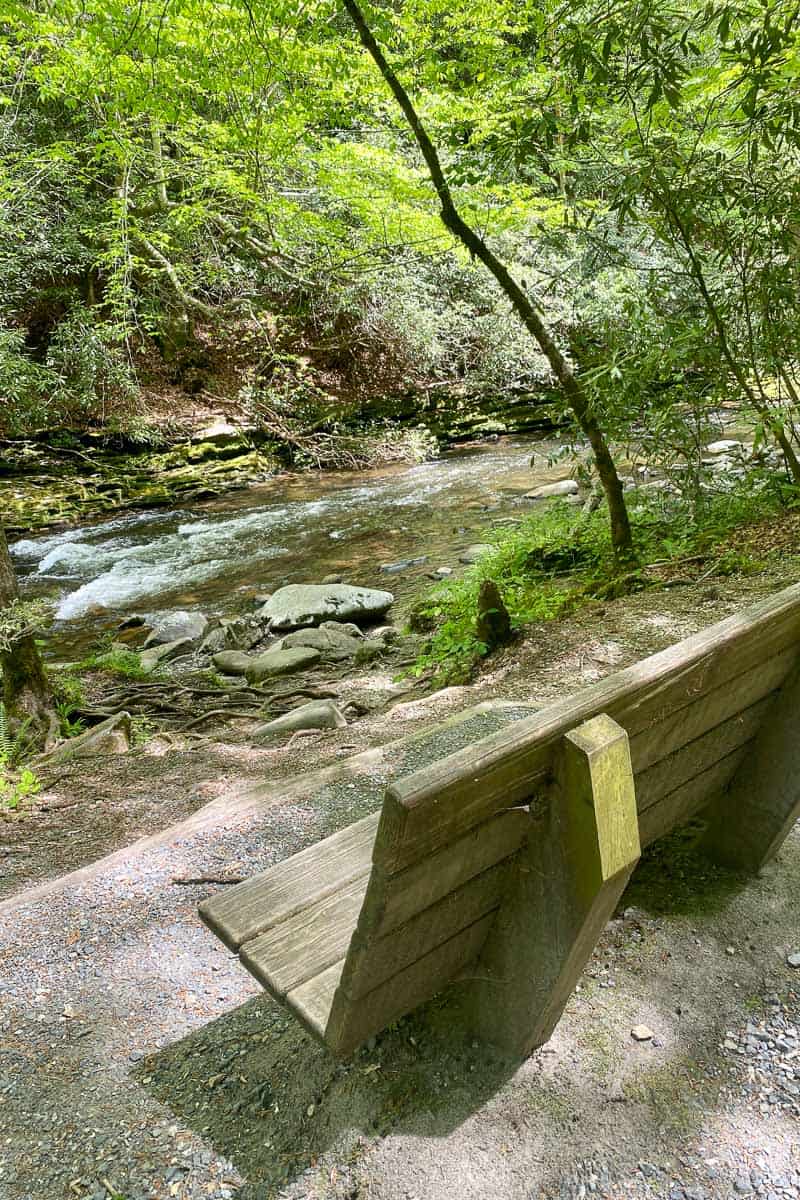 Benches Along the Path on Deep Creek Hiking Trails.