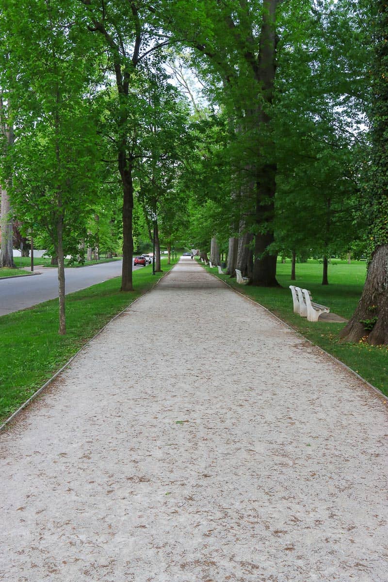tree-lined path at ritter park.