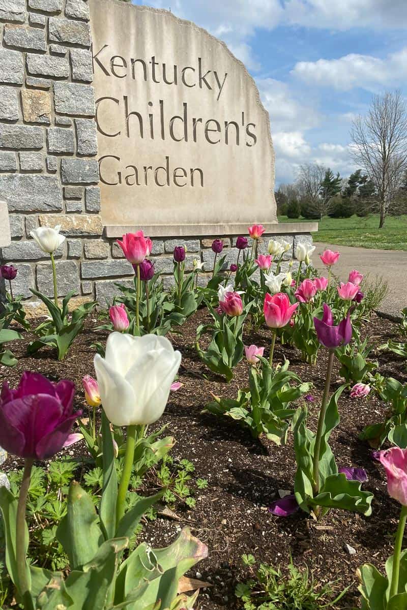 sign for Kentucky Children's Garden with tulips in foreground at university of kentucky arboretum.