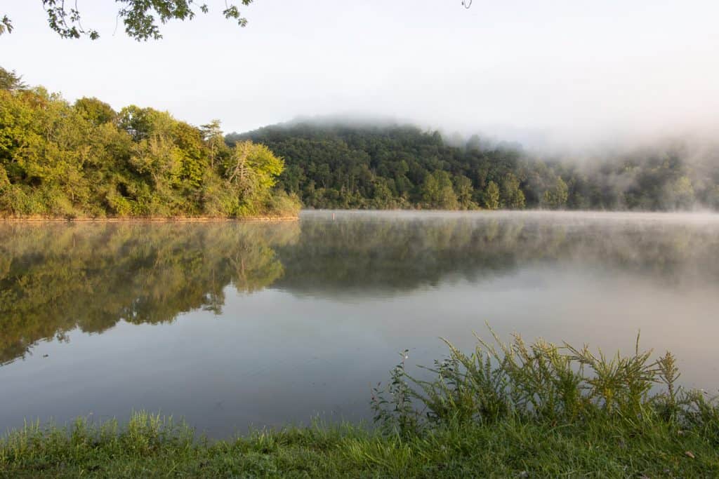 Beech Fork State Park (Barboursville, WV) Champagne Tastes®