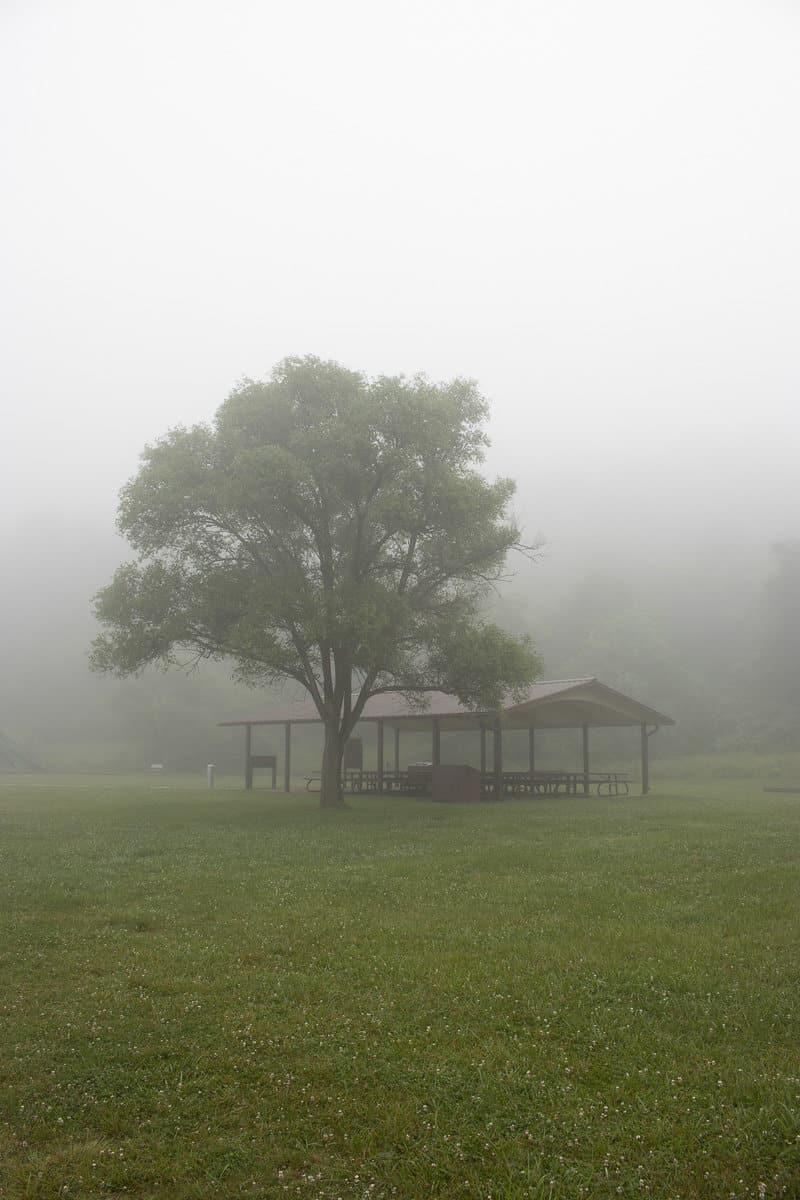Picnic shelter in the fog.