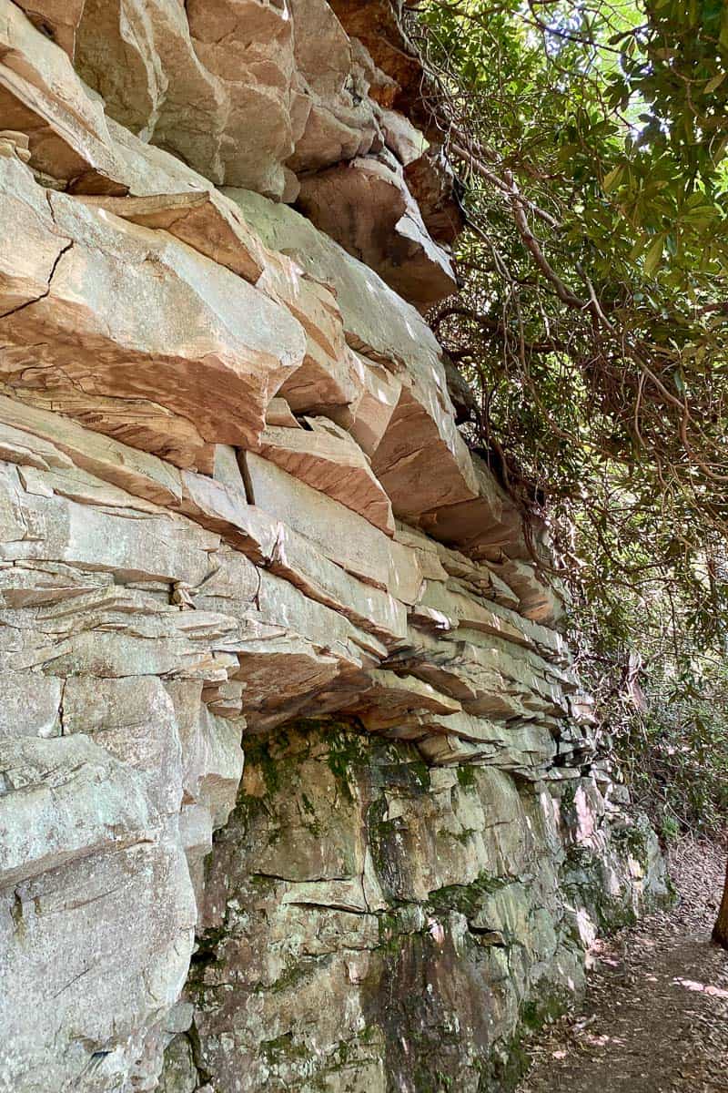 Rocky Wall on the Castle Rock Trail.