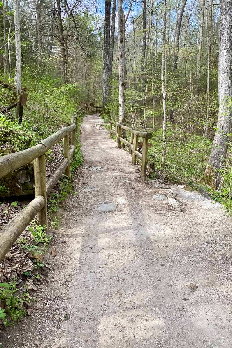 Trail with wooden guardrails.