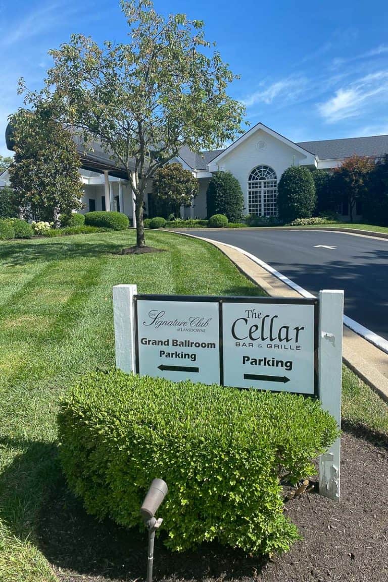 The Cellar Bar and Grille (Lexington, KY) Champagne Tastes®