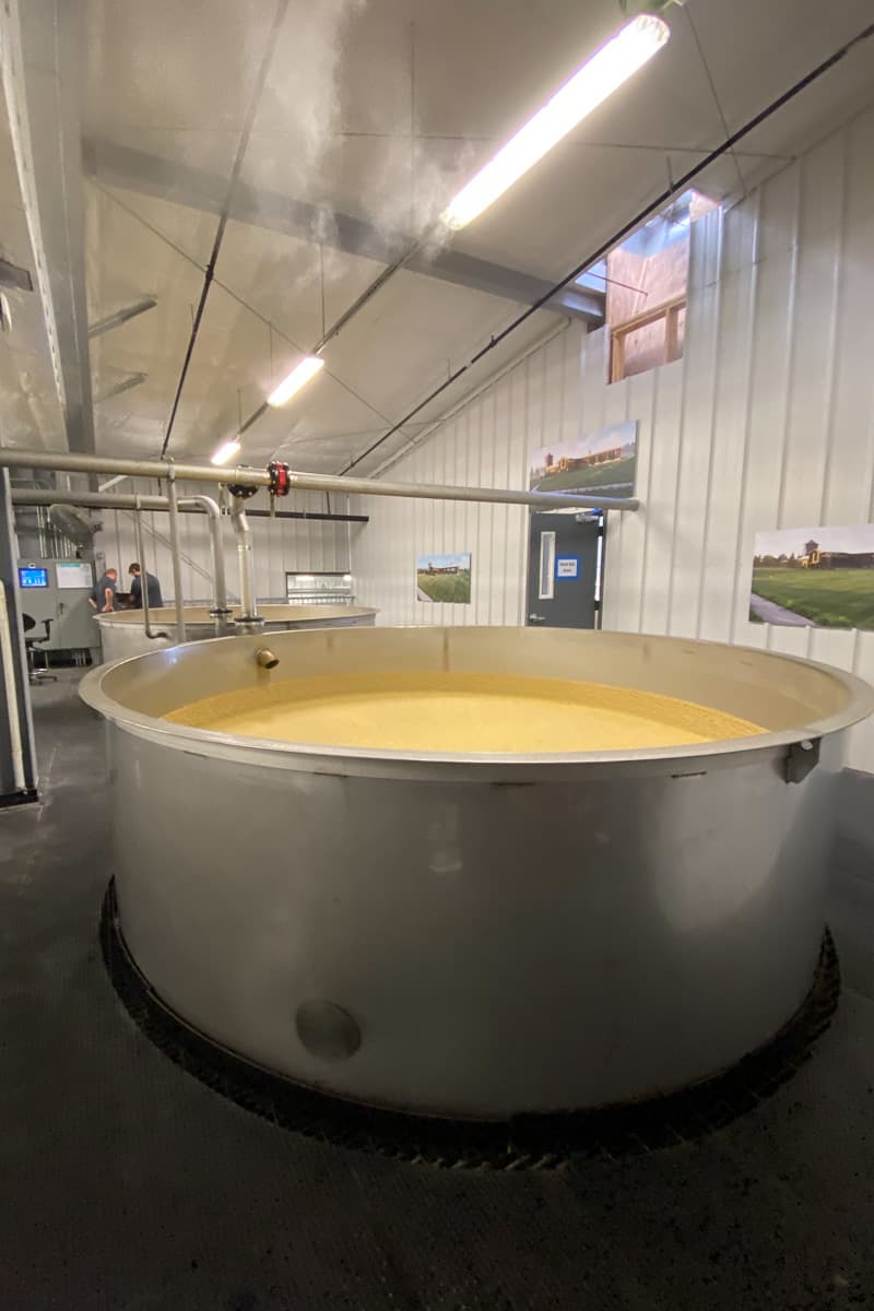 Open fermentation vat with mash bubbling inside.