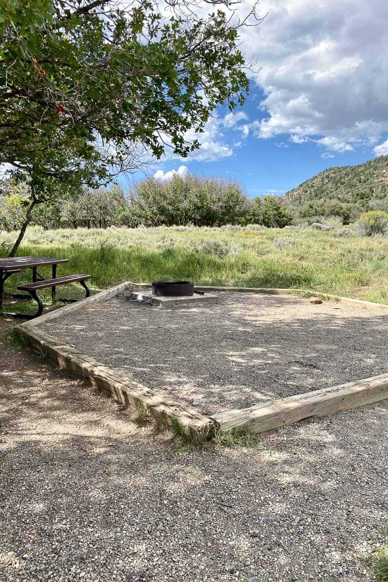 Campsite with fire ring and picnic table at Morefield Campground.