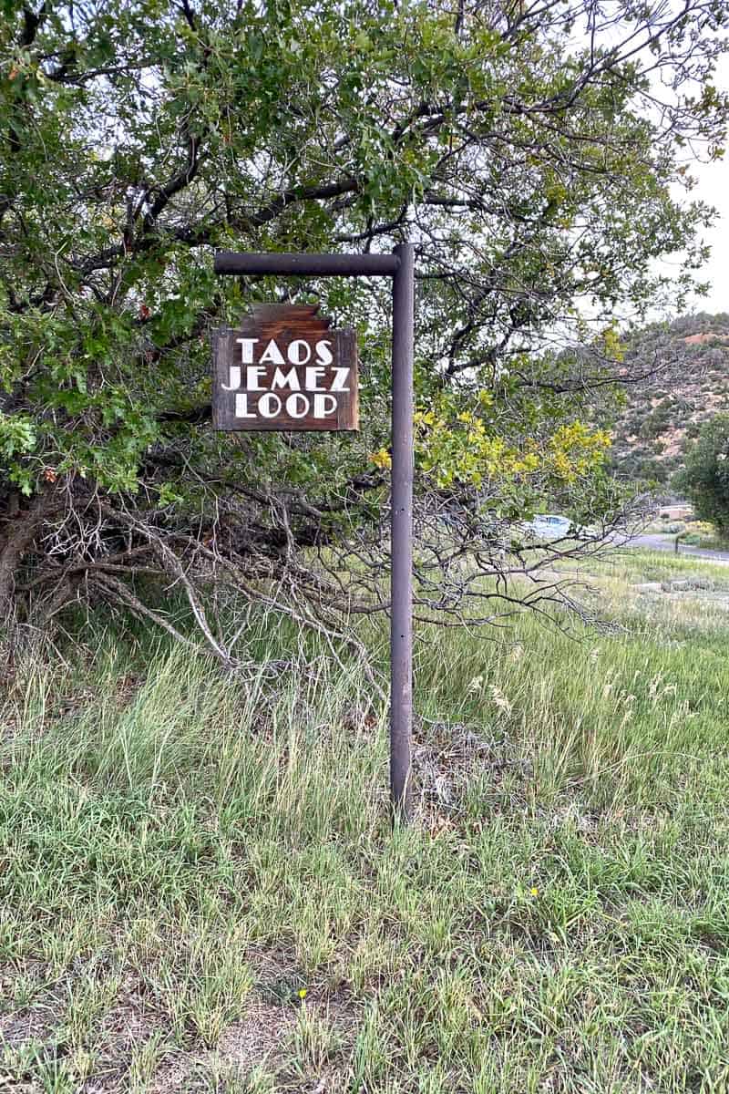 Sign saying "Taos Jemez Loop" in grassy area in front of tree.