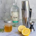 Bottle of gin, lemon halves, cocktail shaker, and jar of rosemary honey syrup.
