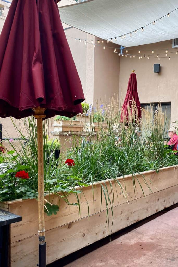 Seasons of Durango (Colorado) Champagne Tastes®