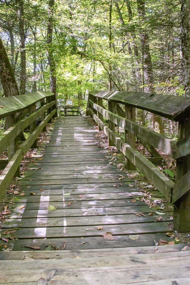 Wooden boardwalk through forest at Beartown State Park.