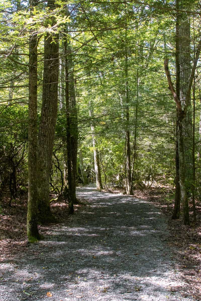 Gravel path through forest at Beartown State Park.