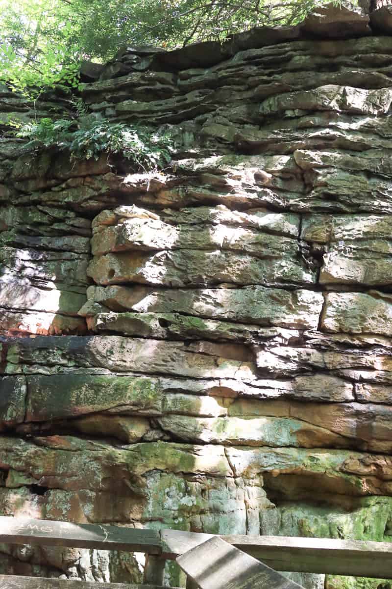 Rocky cliff face at Beartown State Park.