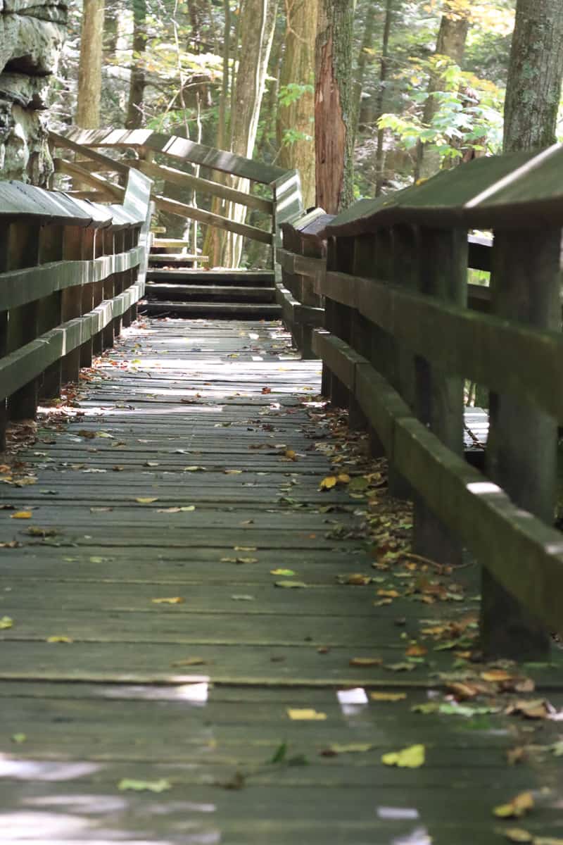 Wooden boardwalk and stairs at Beartown State Park.