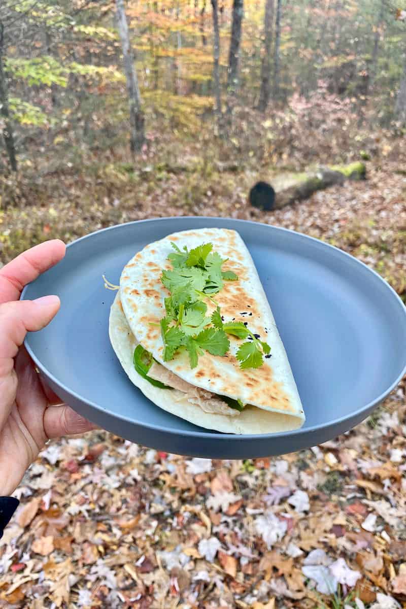 Camping bbq chicken quesadilla with chopped cilantro on plate.