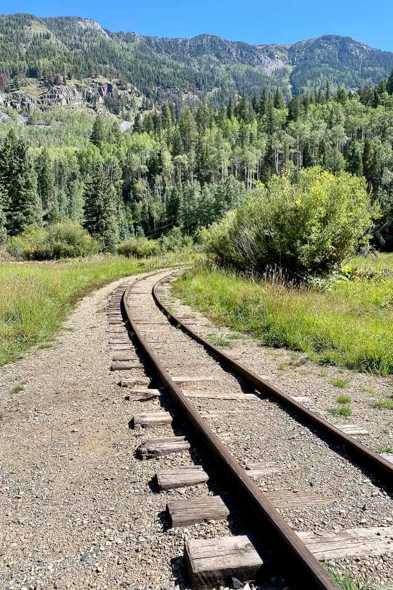 Railroad track with forested mountain in background.