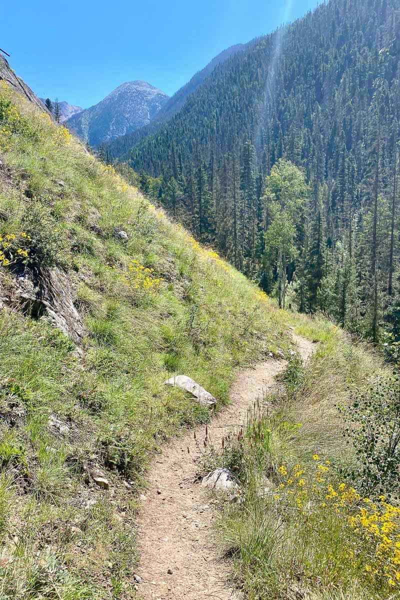Elk Creek Trail running along side of mountain.