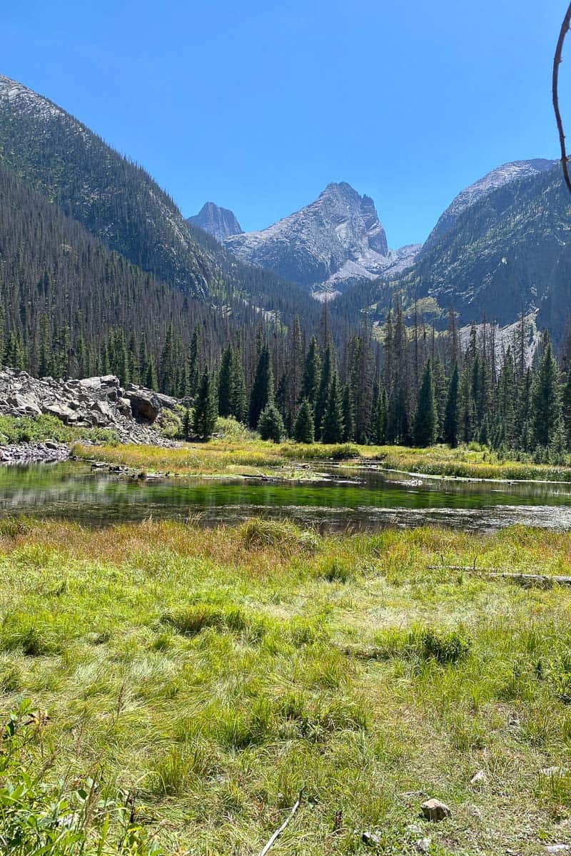 Beaver Pond with mountains rising in background.