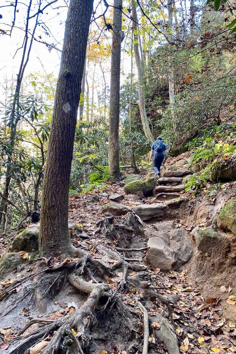 Hiker climbing hillside trail through forest to Grays Arch.