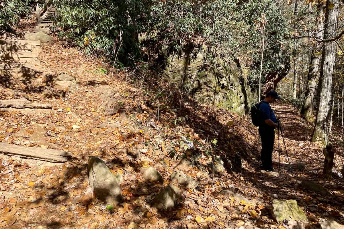 Man stopped on leaf-covered trail in woods.