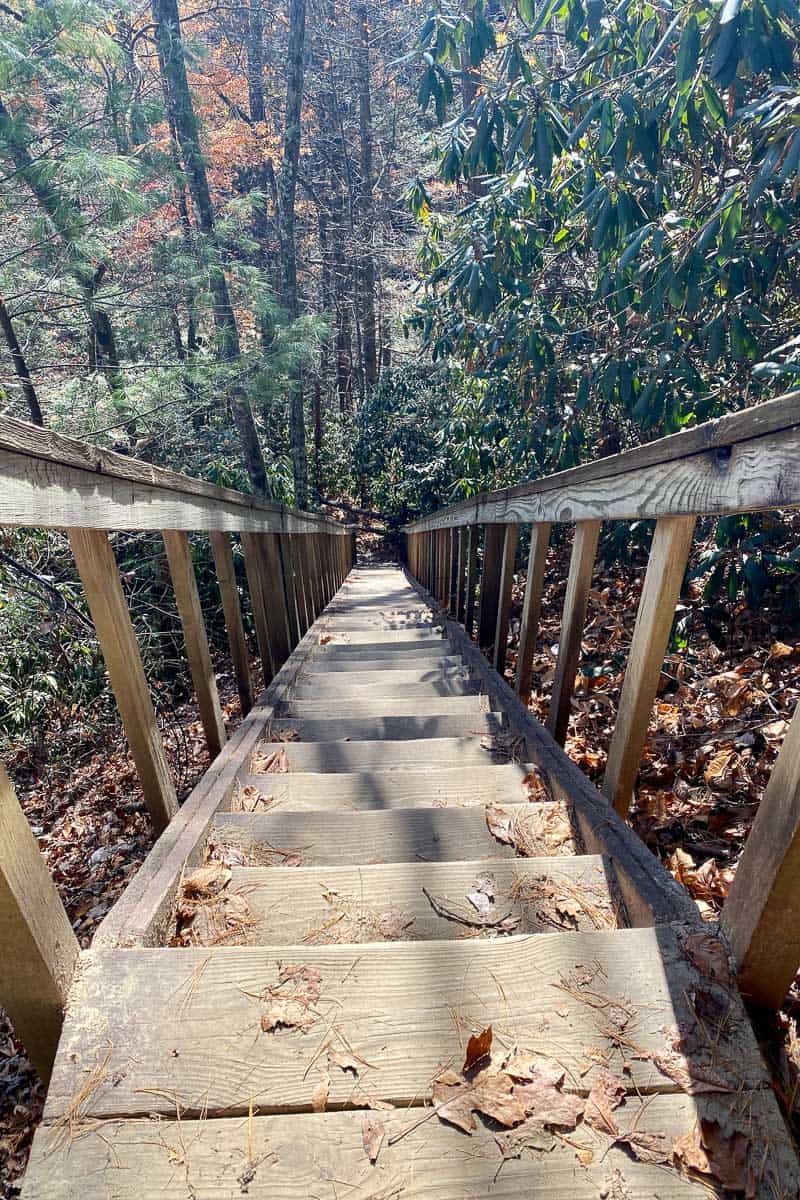 View down long wooden staircase on Grays Arch trail.
