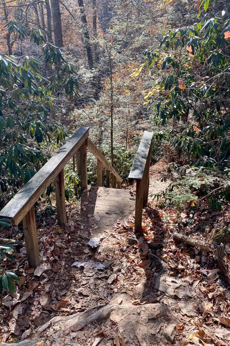 Wooden staircase on Grays Arch trail.