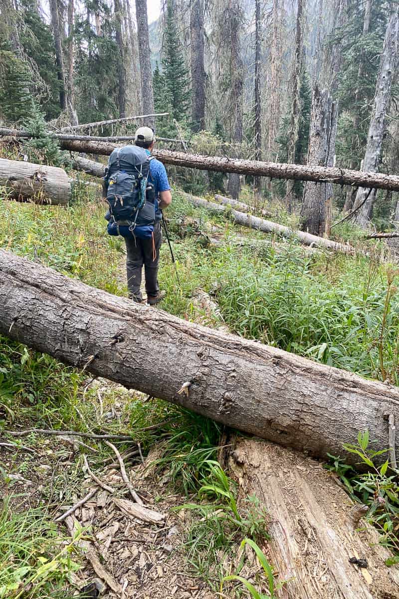 Hiker with backpacking gear on path with downed trees.