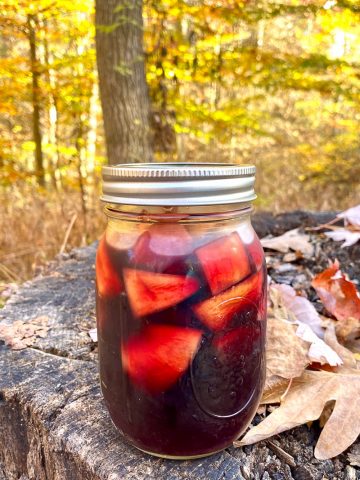 Mason jar filled with camping apple sangria sitting on wooden stump.