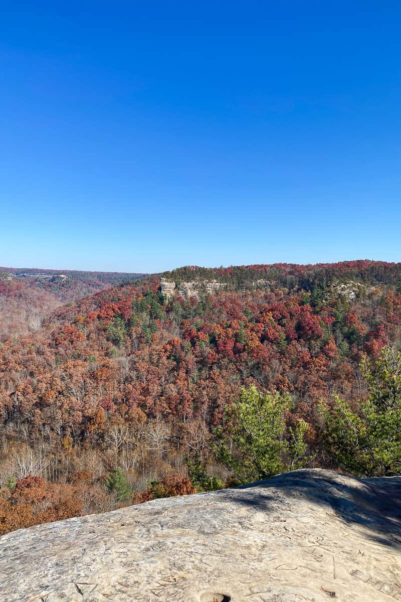 View from Hansons Point over valley of trees with red leaves.