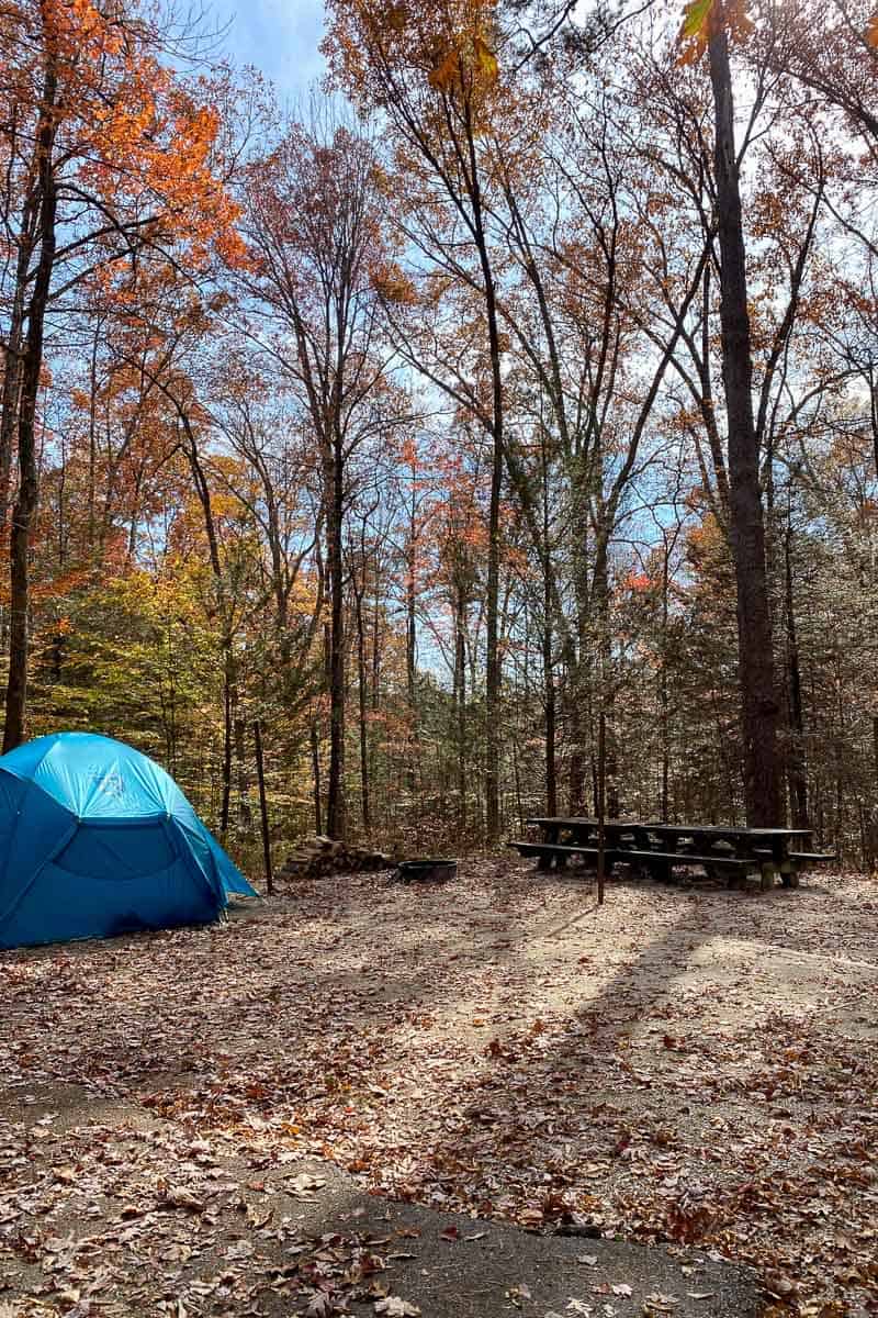Tent pitched at campsite with two picnic tables and surrounded by colorful autumn forest.