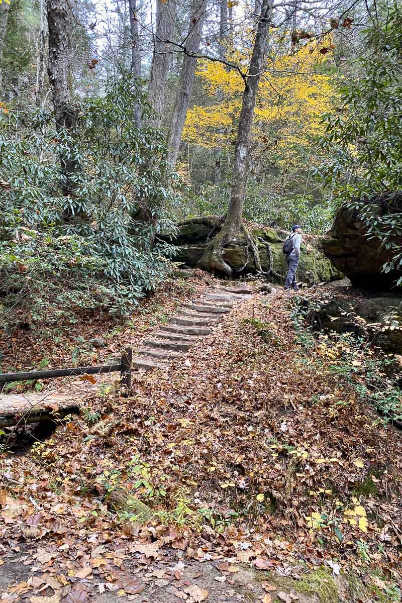 stairs on rock bridge trail.