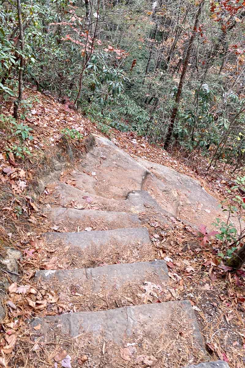 steps on a hiking trail.