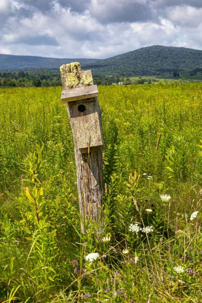 Canaan Valley with bird house in foreground.