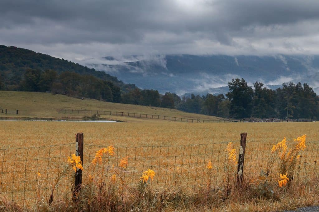 View across Canaan Valley to foggy hill in distance.