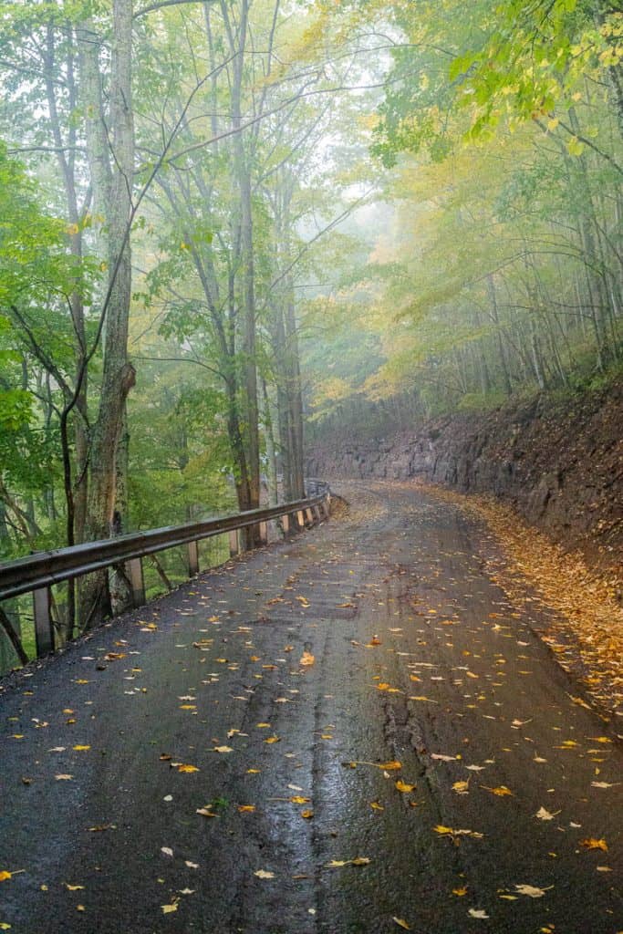 Narrow winding paved road with guardrail at Canaan Valley.