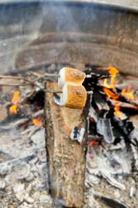 Toasted marshmallows on roasting stick above campfire.