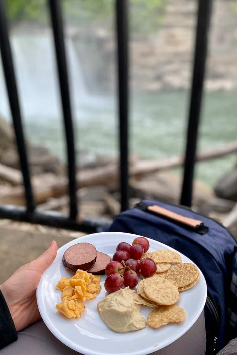 Plate of hummus, fruit, sausage, and crackers with waterfall in background.