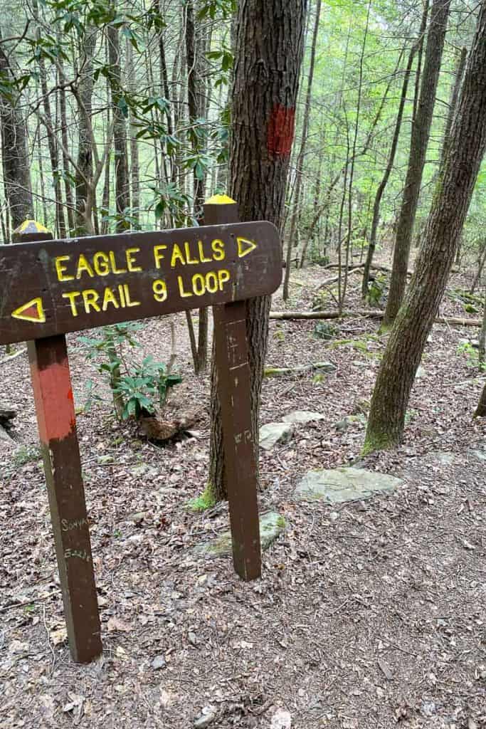 Sign for Eagle Falls and Trail 9.