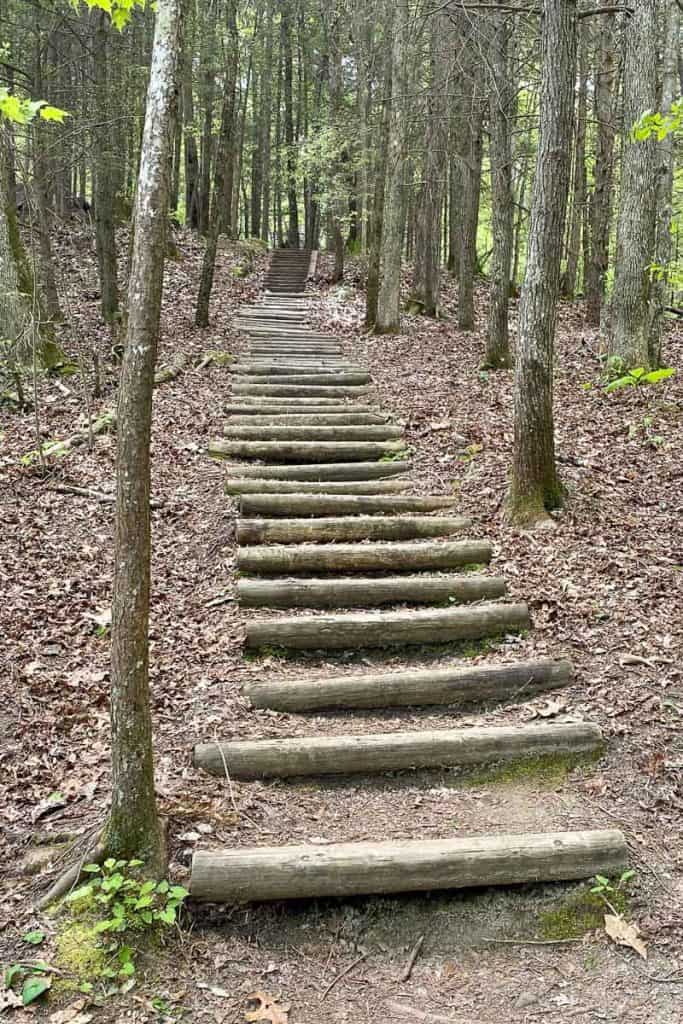 Log staircase on hillside.
