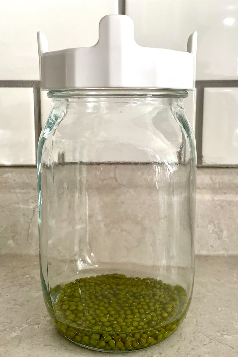 Jar with mung beans soaking in water.