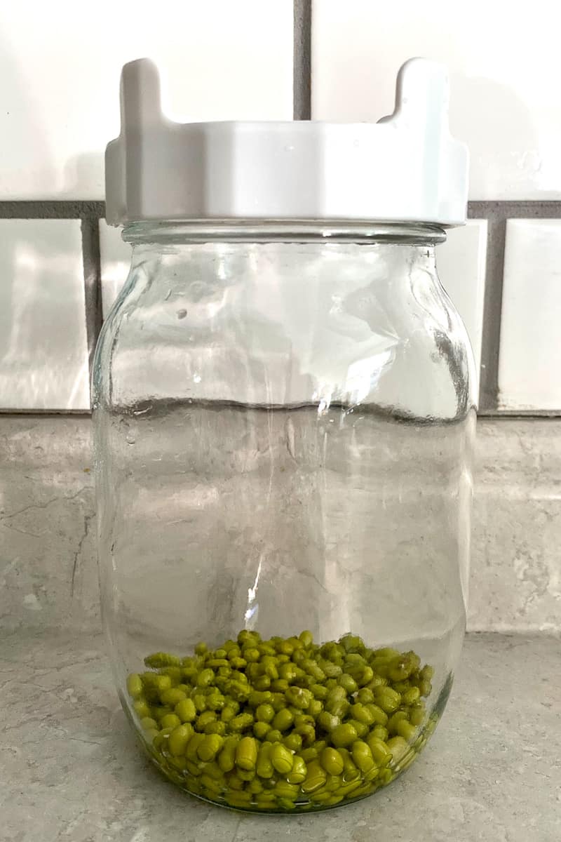 Mung beans in jar.