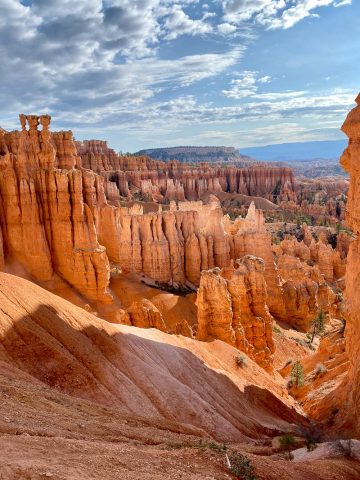 View out over Bryce Canyon's red rock pillars.