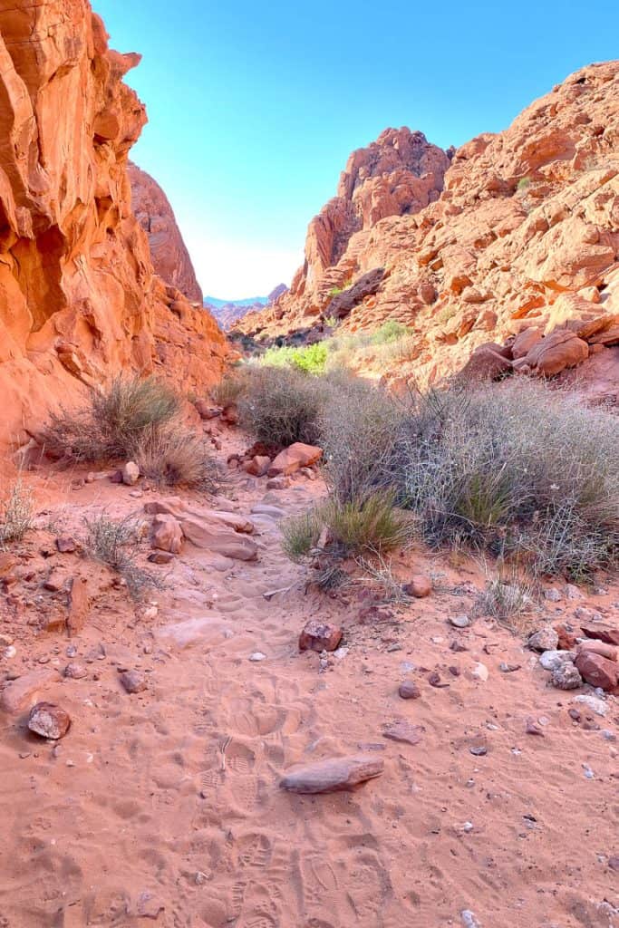Sandy path with rocks and brush and red rock formations in distance.