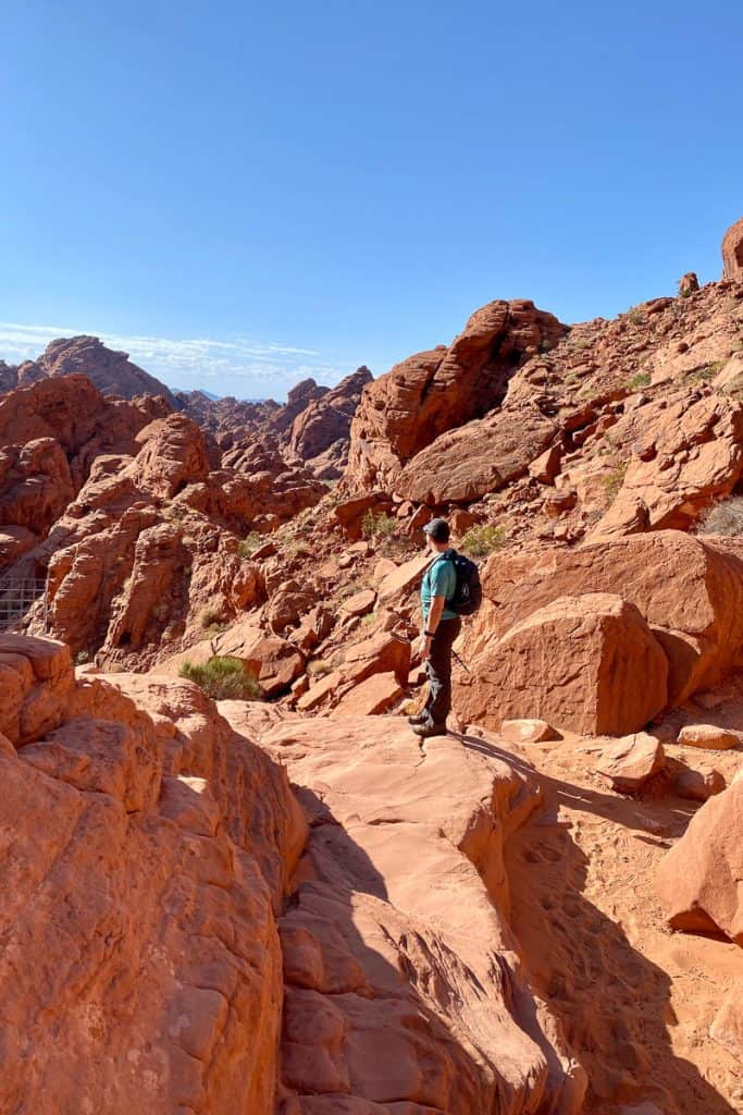 Hiker looking out to red rock formations of Rainbow Vista.