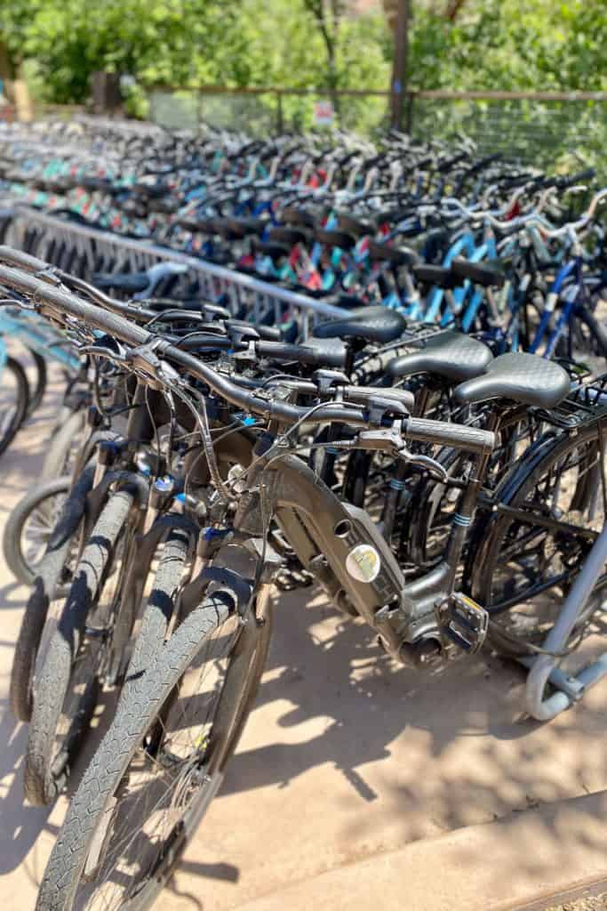 Rows of bikes for rent secured to rack, one of the things to do near Zion.