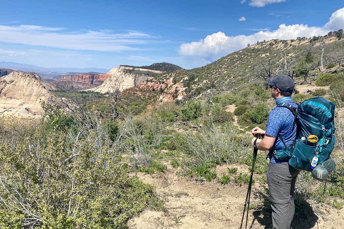 Hiker observing view of colorful mesas and rock outcroppings on West Rim Trail on an overnight route in Zion with permit.